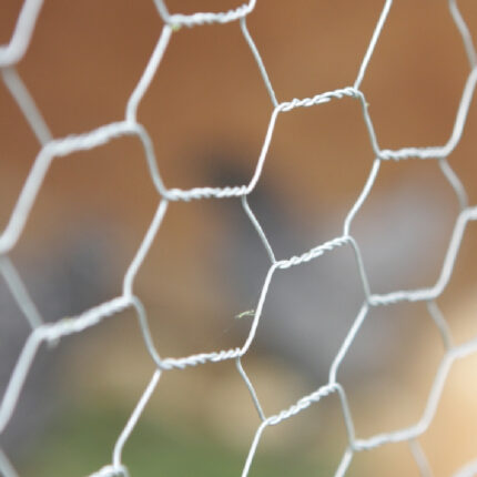 Chicken Wire